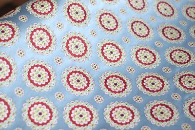 Light Blue Brocade with Blooming Roundels
