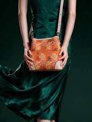 Auspicious Dragon on Imperial Brocade